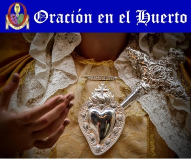 saya virgen del rosario