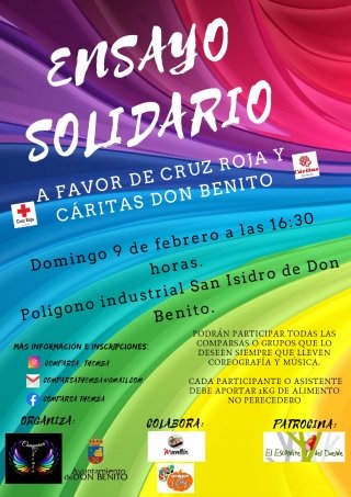 ensayo solidario