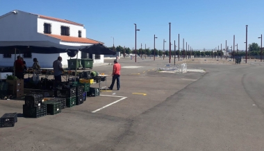 mercadillo don benito 29 junio