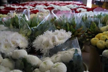 florhusa