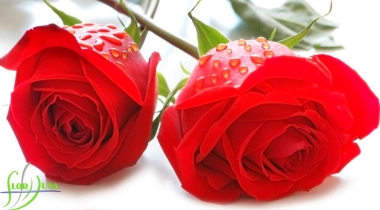 florhusa