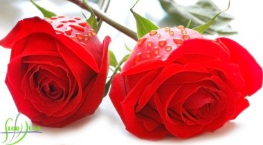 florhusa