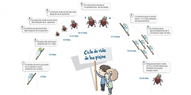piojitos