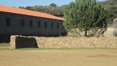 dehesa