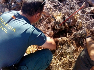 artes prohibidas en la caza