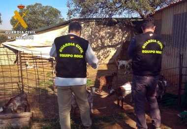 guardia civil