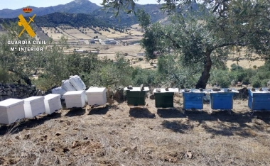 colmenas