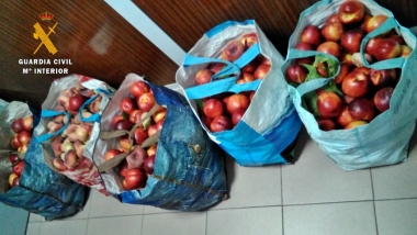 fruta robada