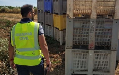 guardia civil