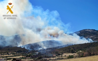 incendio en peñalsordo