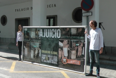 juicio criadero de perros