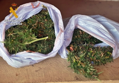 marihuana