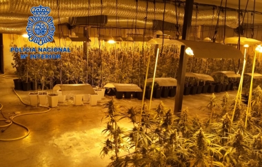 marihuana don benito