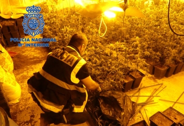 marihuana mérida