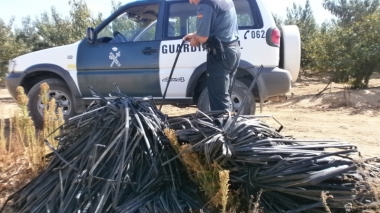 gomas de riego sustraídas