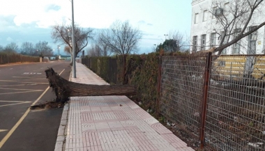 viento Don Benito