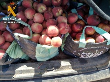 fruta recuperada