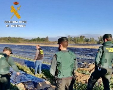 guardia civil