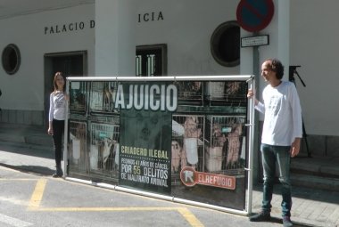 juicio criadero de perros