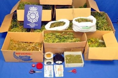marihuana intervenida