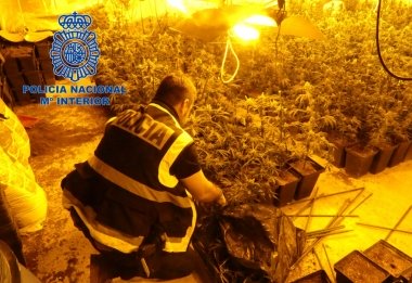 marihuana mérida