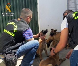 perrera de almendralejo