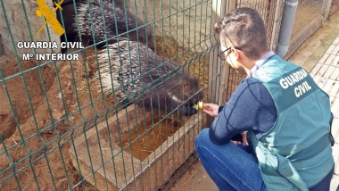 zoo villafranca