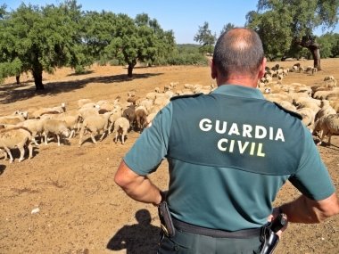 guardia civil
