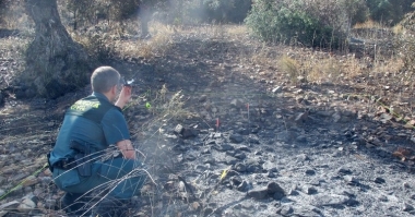 incendio monterrubio