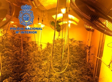 marihuana merida