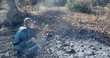 incendio monterrubio