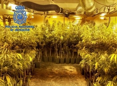 marihuana