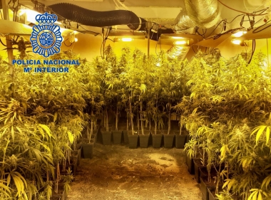 marihuana