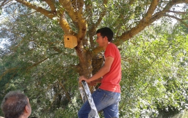 biodiversidad de Aprosuba 9