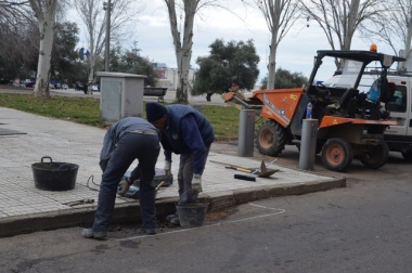 arreglos en los pinos
