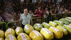 concurso de sandias y melones de Villanueva de la Serena