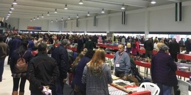 feria de coleccionismo de Villanueva