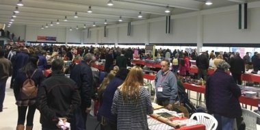 feria de coleccionismo de Villanueva