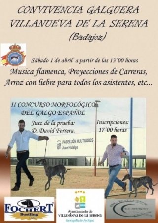 convivencia galguera