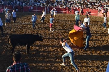 vaquillas en Villanueva