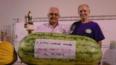 antonio gonzález casillas y salvador mogas