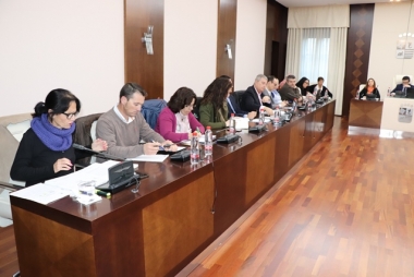 pleno villanueva