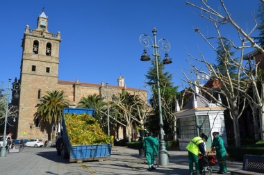 poda en villanueva de la serena