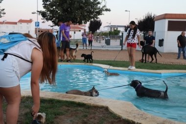 parque canino