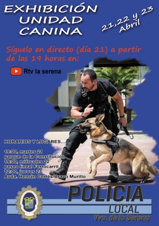 exhibición canina