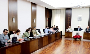 pleno de villanueva
