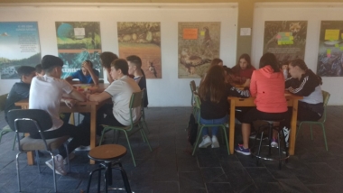 ies pedro de valdivia