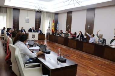 pleno villanueva