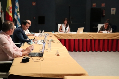 pleno villanueva