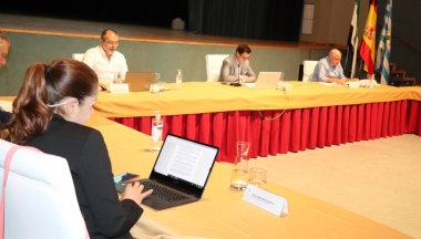 pleno villanueva
